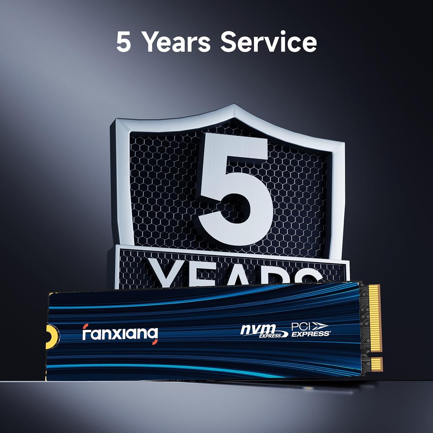 Fanxiang NVMe SSD 1TB M.2 2280 PCIe